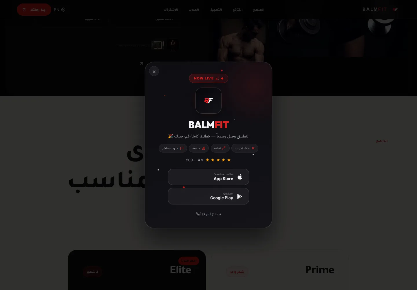 BALM FIT — ثبات البراند عبر الشاشات